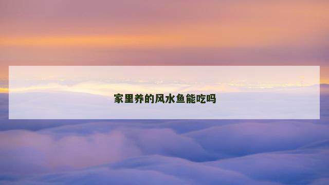 家里养的风水鱼能吃吗