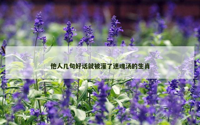 他人几句好话就被灌了迷魂汤的生肖