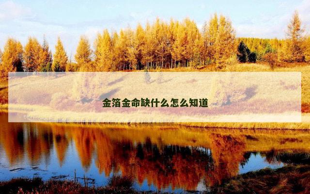 金箔金命缺什么怎么知道