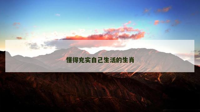 懂得充实自己生活的生肖