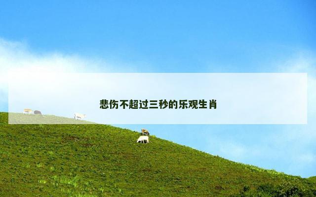 悲伤不超过三秒的乐观生肖