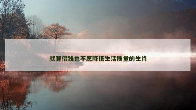 就算借钱也不愿降低生活质量的生肖