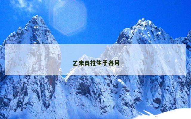 乙未日柱生于各月