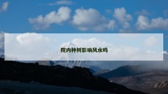 院内种树影响风水吗