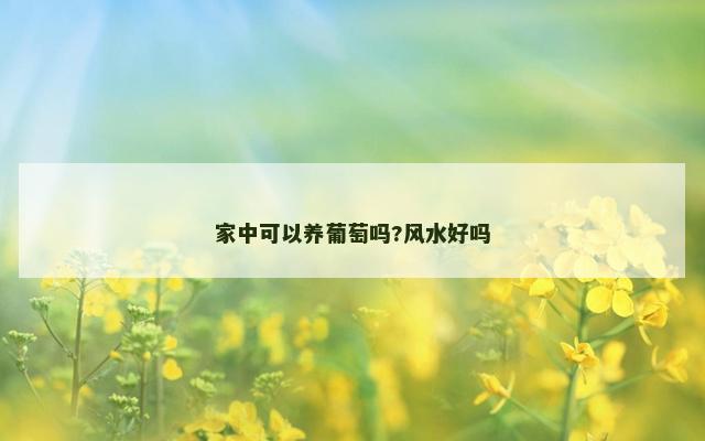 家中可以养葡萄吗?风水好吗