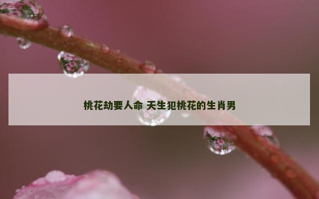 桃花劫要人命 天生犯桃花的生肖男