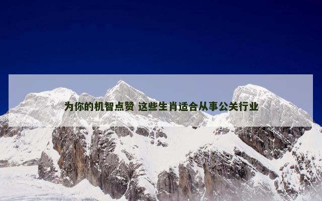 为你的机智点赞 这些生肖适合从事公关行业