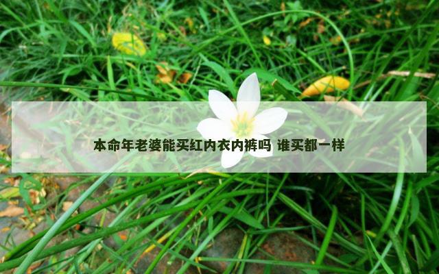 本命年老婆能买红内衣内裤吗 谁买都一样 本命年老婆能买红内衣内裤吗 谁买都一样