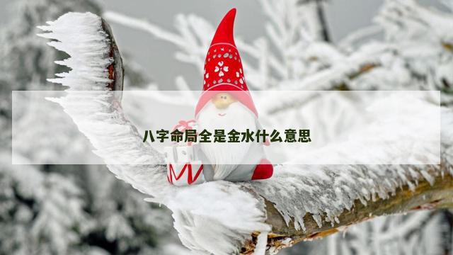 八字命局全是金水什么意思