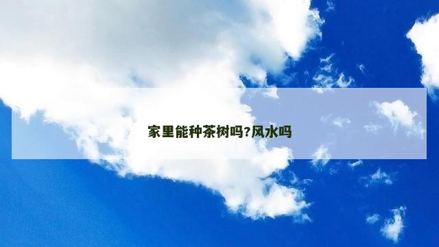 家里能种茶树吗?风水吗