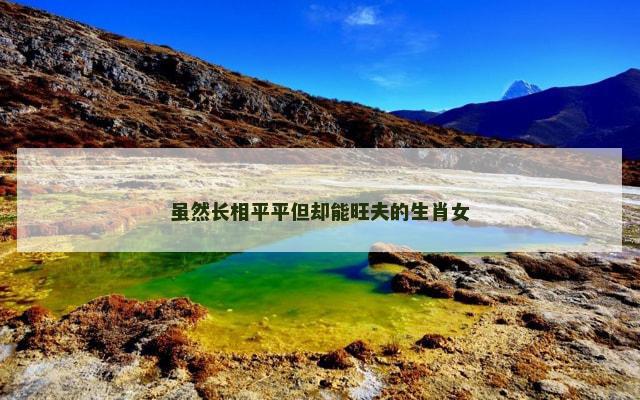 虽然长相平平但却能旺夫的生肖女