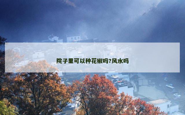 院子里可以种花椒吗?风水吗