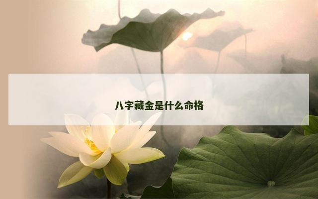 八字藏金是什么命格