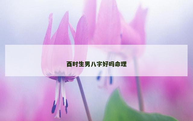 酉时生男八字好吗命理