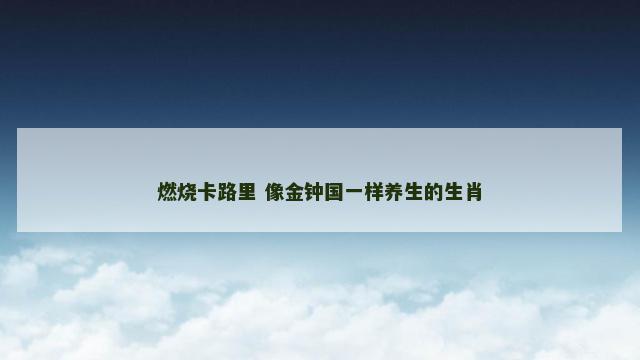 燃烧卡路里 像金钟国一样养生的生肖