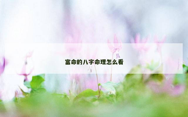 富命的八字命理怎么看