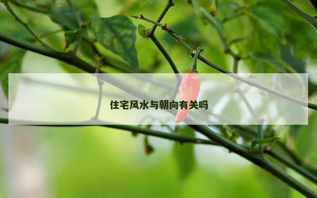 住宅风水与朝向有关吗