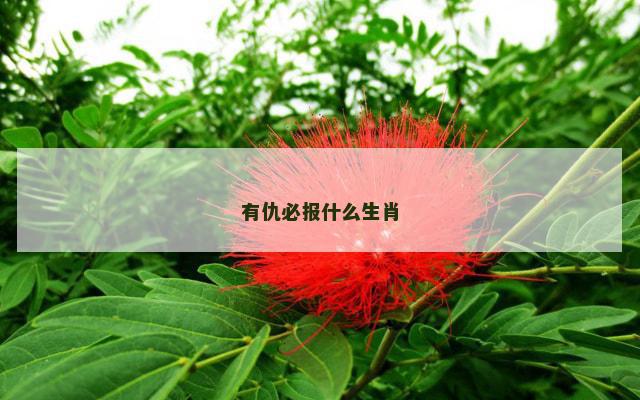 有仇必报什么生肖