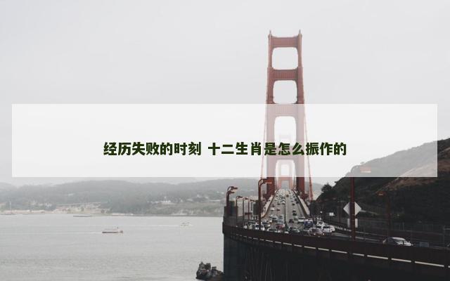 经历失败的时刻 十二生肖是怎么振作的