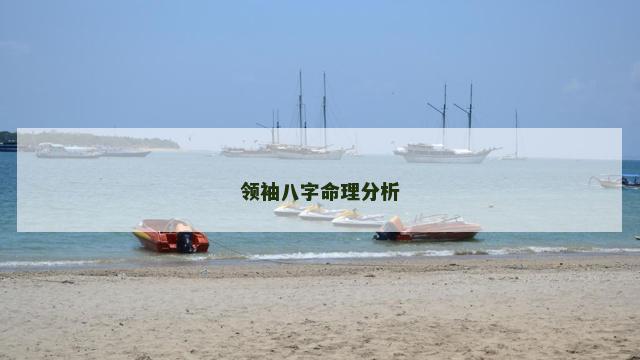 领袖八字命理分析