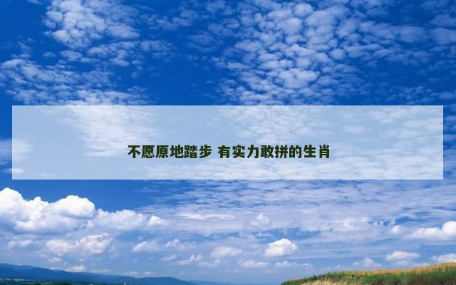 不愿原地踏步 有实力敢拼的生肖