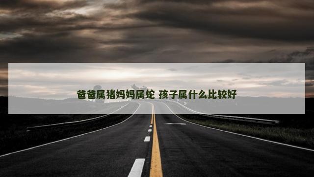 爸爸属猪妈妈属蛇 孩子属什么比较好