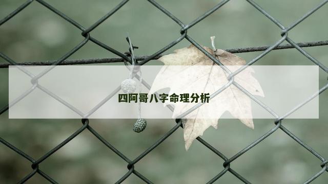四阿哥八字命理分析
