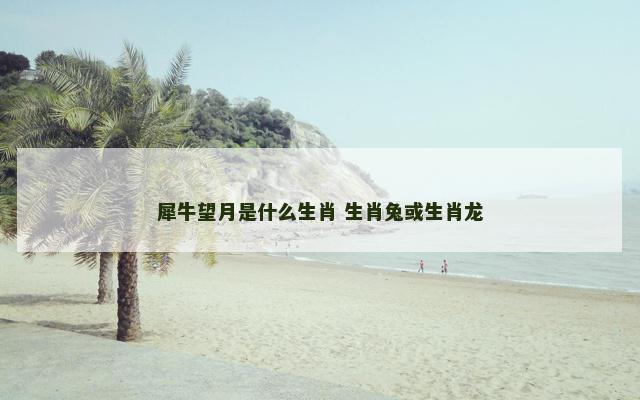 犀牛望月是什么生肖 生肖兔或生肖龙