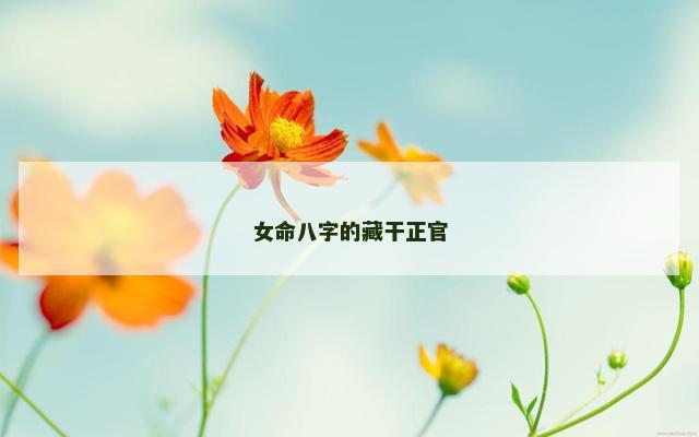 女命八字的藏干正官