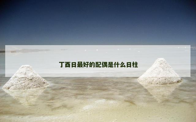 丁酉日最好的配偶是什么日柱