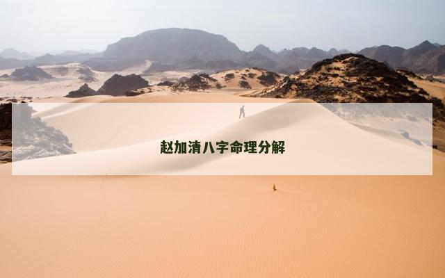 赵加清八字命理分解