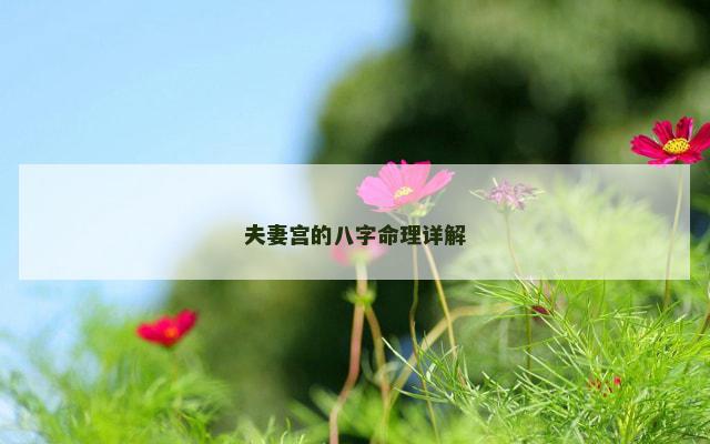 夫妻宫的八字命理详解