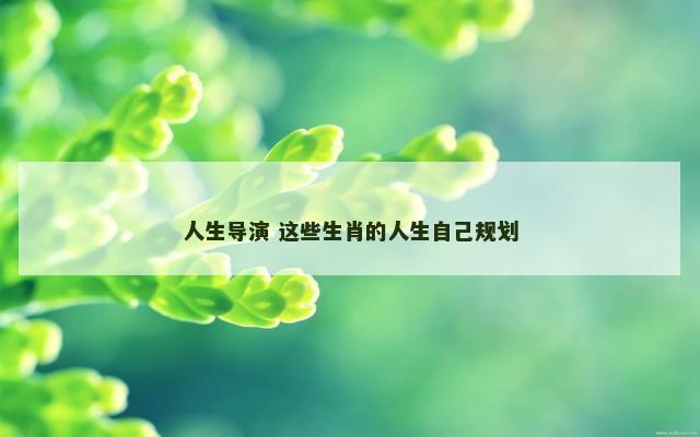 人生导演 这些生肖的人生自己规划