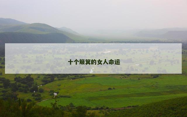 十个簸箕的女人命运