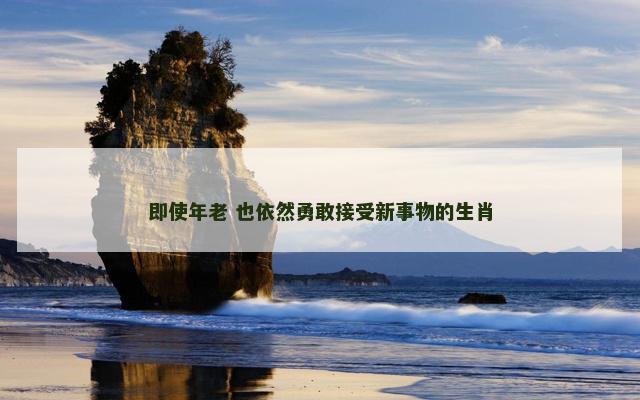 即使年老 也依然勇敢接受新事物的生肖