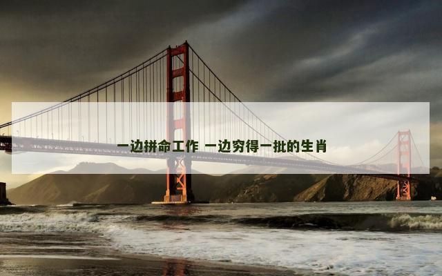 一边拼命工作 一边穷得一批的生肖