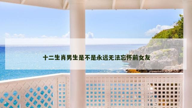 十二生肖男生是不是永远无法忘怀前女友