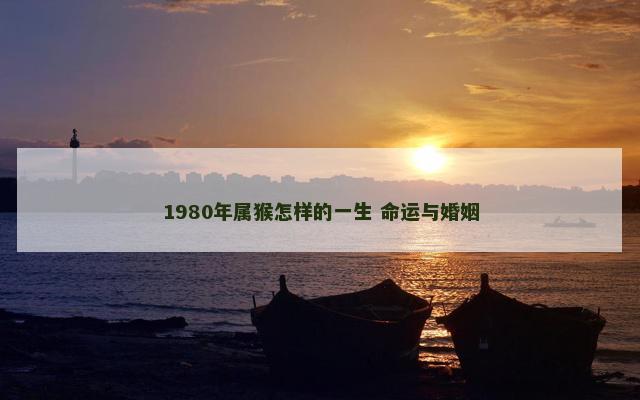 1980年属猴怎样的一生 命运与婚姻