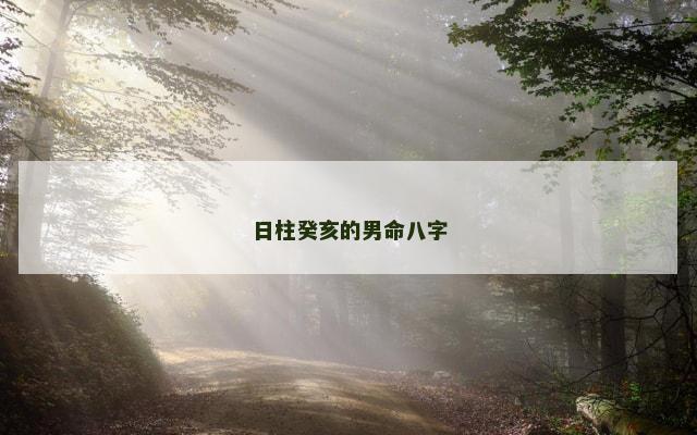 日柱癸亥的男命八字