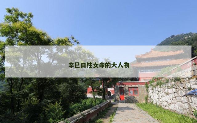辛巳日柱女命的大人物