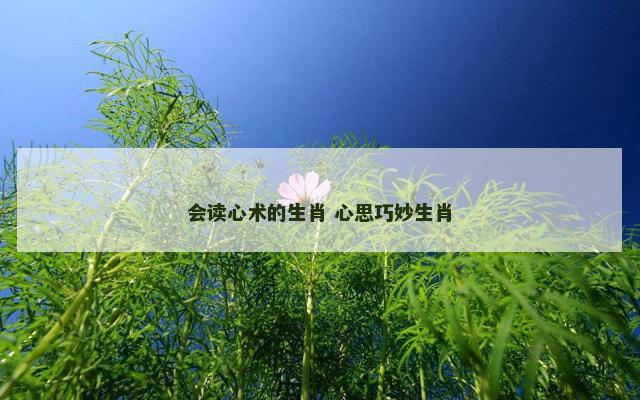 会读心术的生肖 心思巧妙生肖