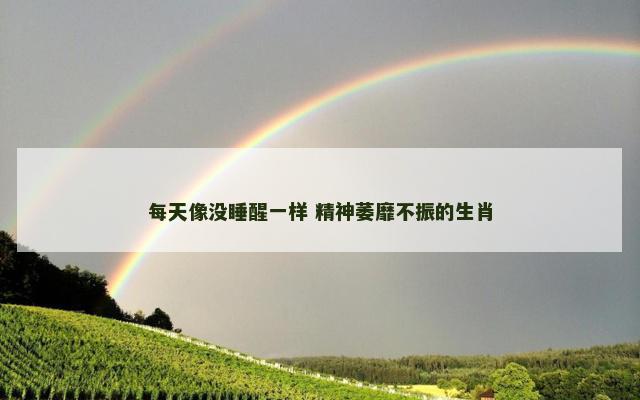 每天像没睡醒一样 精神萎靡不振的生肖
