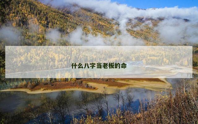 什么八字当老板的命