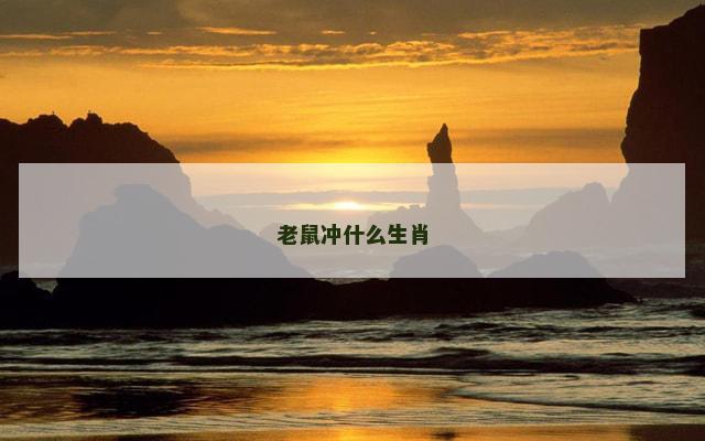 老鼠冲什么生肖 老鼠冲什么生肖