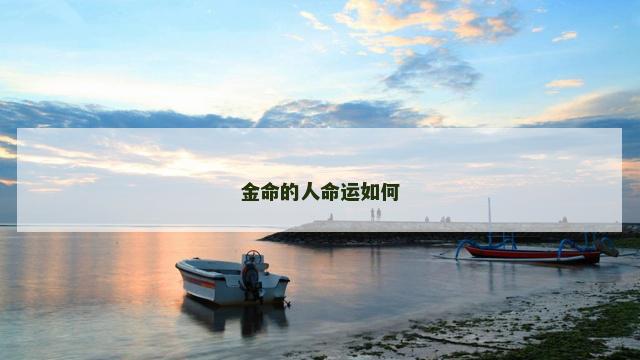 金命的人命运如何 金命的人命运如何