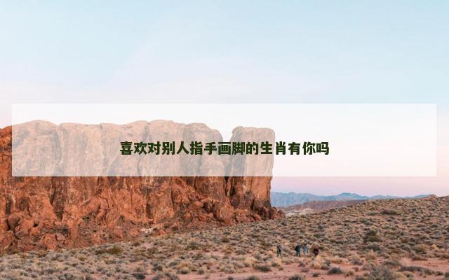 喜欢对别人指手画脚的生肖有你吗