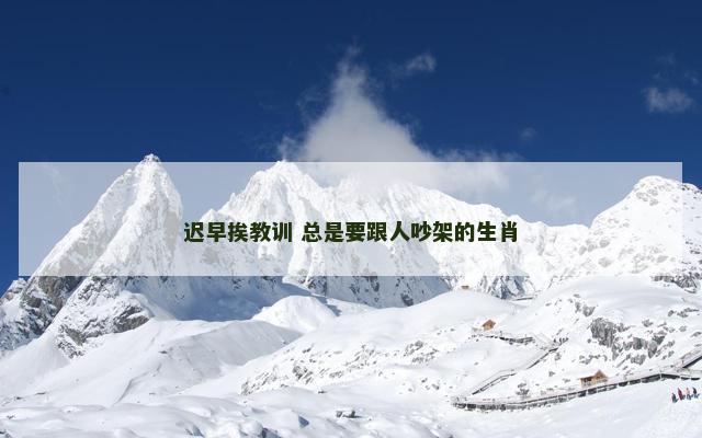 迟早挨教训 总是要跟人吵架的生肖