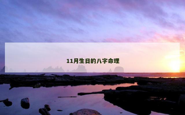 11月生日的八字命理