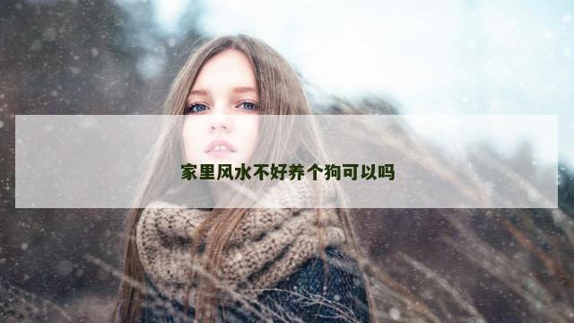 家里风水不好养个狗可以吗