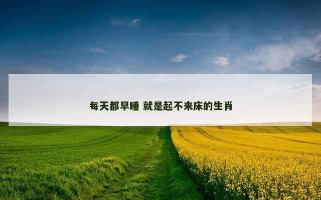 每天都早睡 就是起不来床的生肖